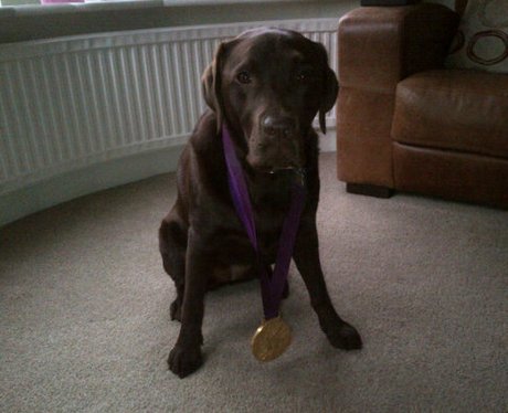 Jessica Ennis' dog Myla