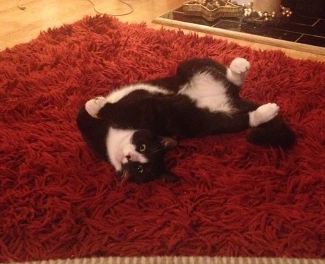 Cutest pictures of the week