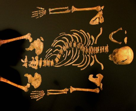 Skeleton of Richard III