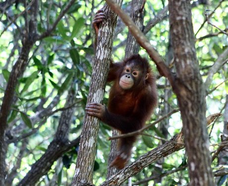 Cutest pictures of the week
