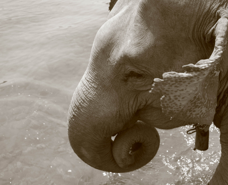 Cutest pictures of the week