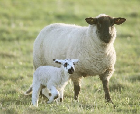 Cutest pictures of the week