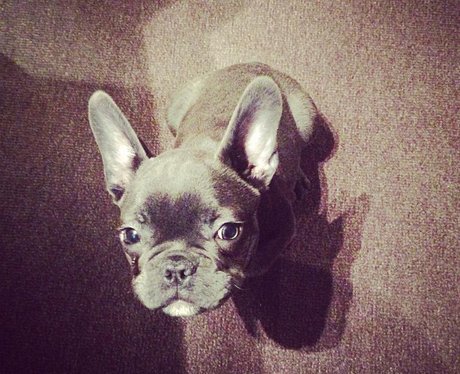 Cutest pictures of the week
