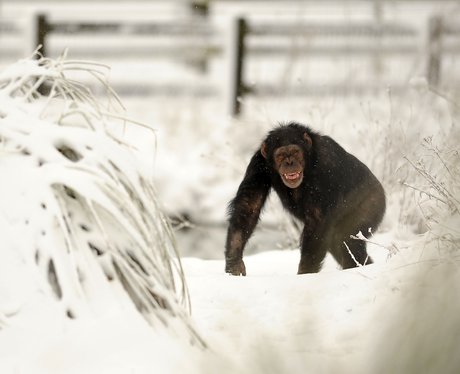 Cutest Pictures Of The Week