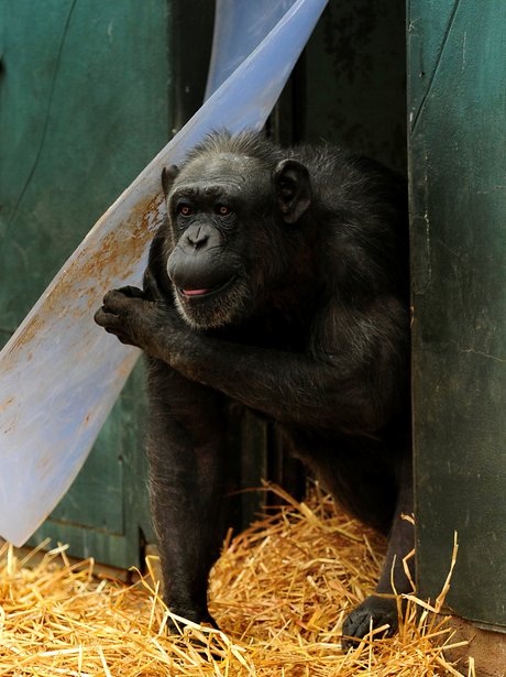 Cutest Pictures Of The Week