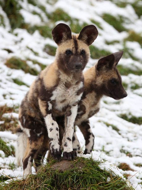 Cutest Pictures Of The Week