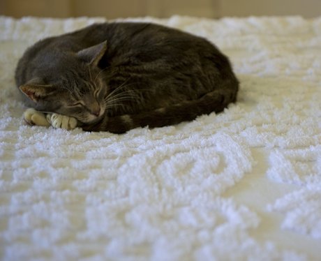 Cutest pictures of the week