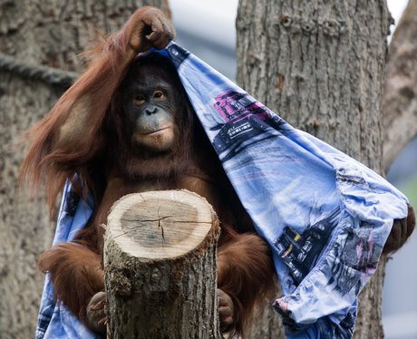 Cutest pictures of the week