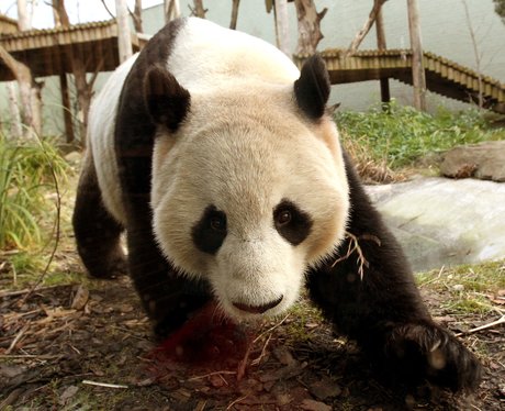 Cutest pictures of the week
