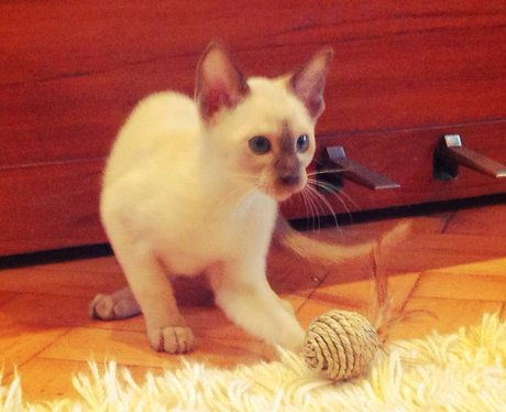 Cutest Pictures Of The Week