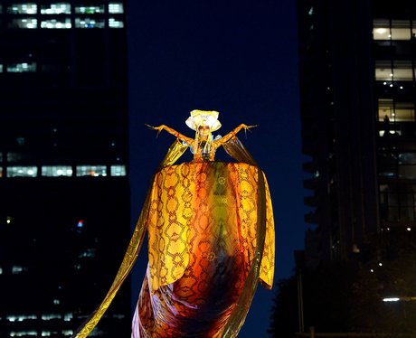 Weird & Wonderful Pictures Of The Week