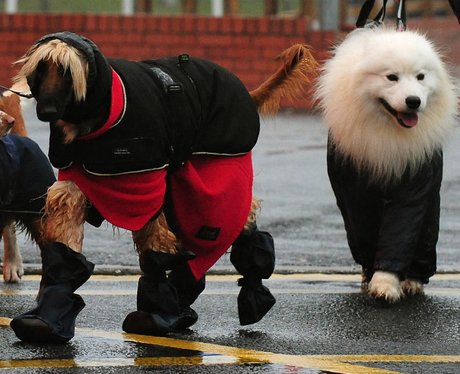 Cutest Picture Of The Week