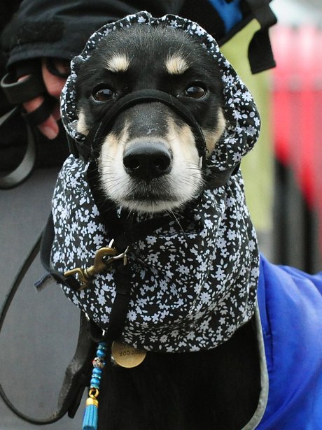 Cutest Picture Of The Week