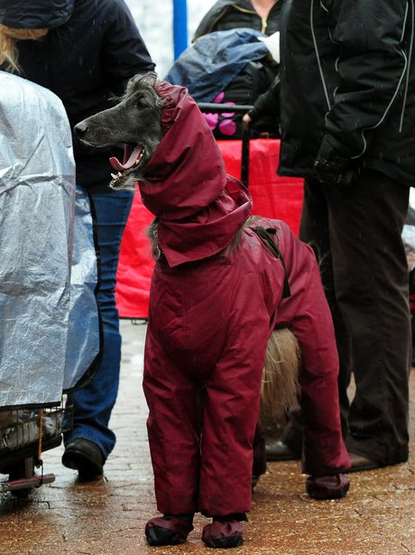 Cutest Picture Of The Week