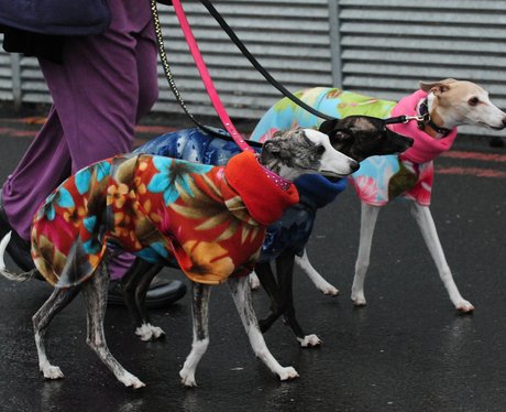 Cutest Picture Of The Week