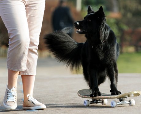 Cutest pictures of the week
