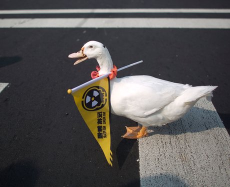 Weird And Wonderful Pictures Of The Week