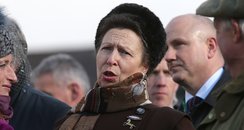 Celebs at Cheltenham 
