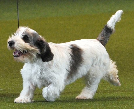 Cutest pictures of the week