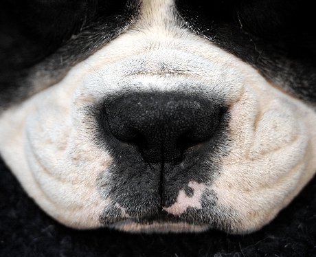 Cutest pictures of the week
