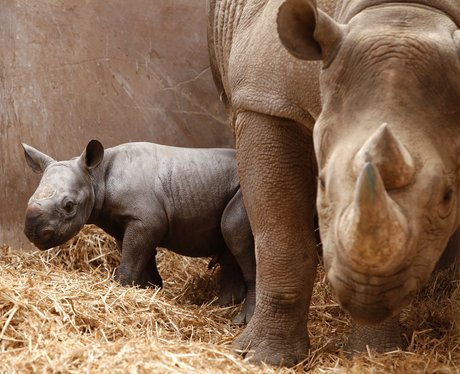 Cutest pictures of the week