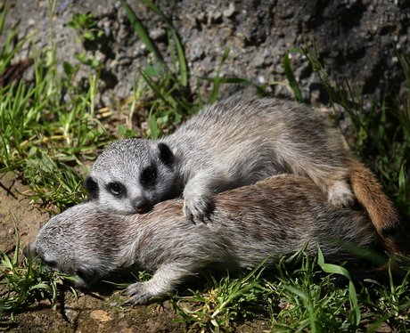 Cutest pictures of the week