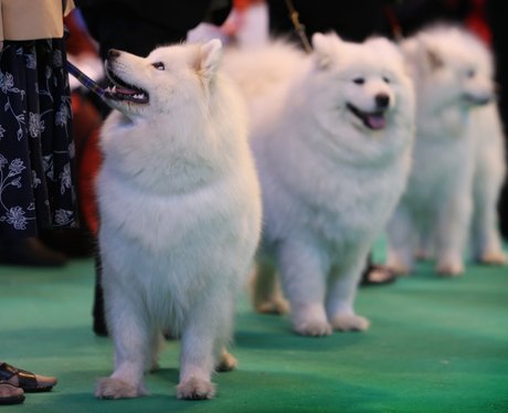 Cutest pictures of the week