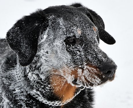 Cutest pictures of the week