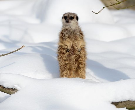 Cutest pictures of the week