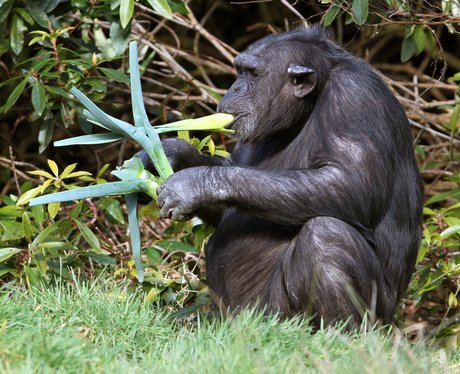 Cutest pictures of the week