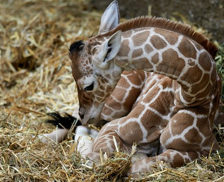 Cutest Pictures Of The Week