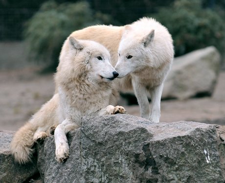 Cutest Pictures Of The Week
