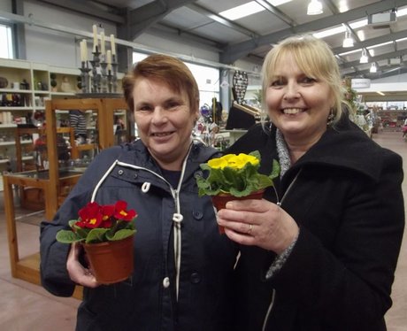Heart & Palmers Garden Centre