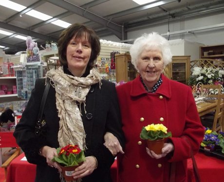 Heart & Palmers Garden Centre
