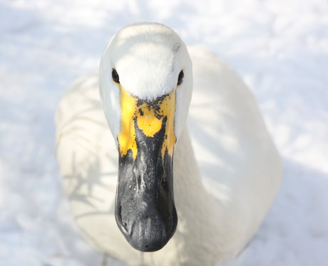 Cutest pictures of the week