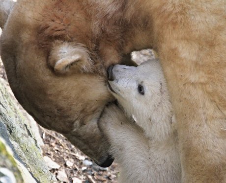 Cutest Pictures Of The Week