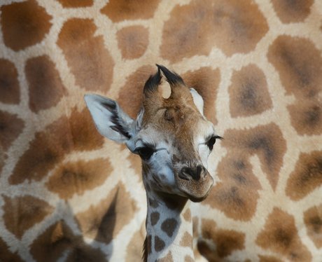 Cutest Pictures Of The Week