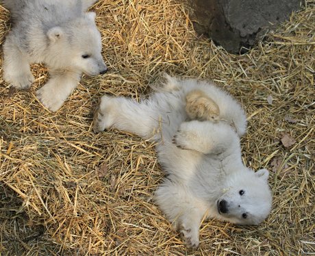 Cutest Pictures Of The Week