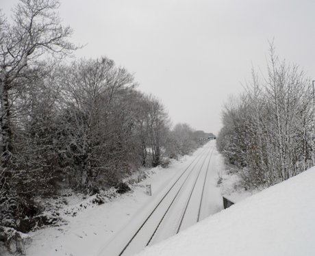 Snow Pictures