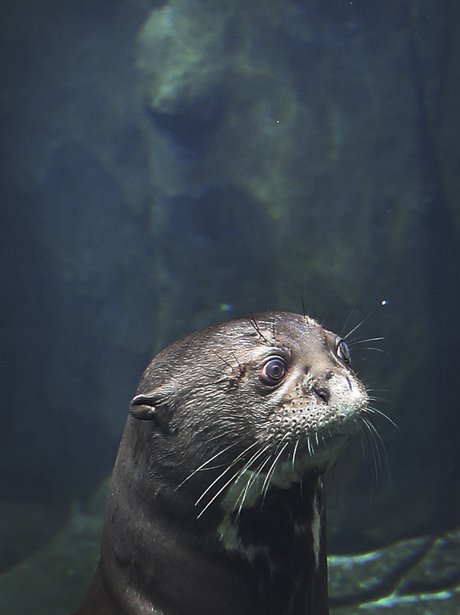 Cutest pictures of the week