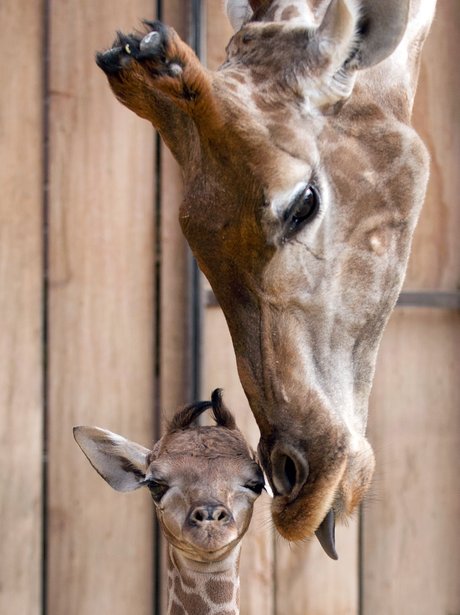 Cutest pictures of the week