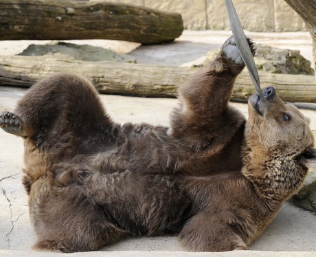 Cutest pictures of the week