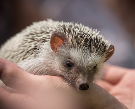 Cutest pictures of the week