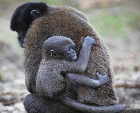 Cutest Picture Of The Week