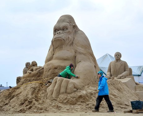 Weird & Wonderful Pictures Of The Week - 22nd Marc