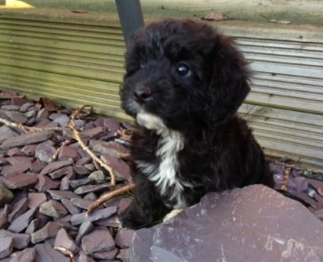 Cutest Picture Of The Week - 3 April 2013