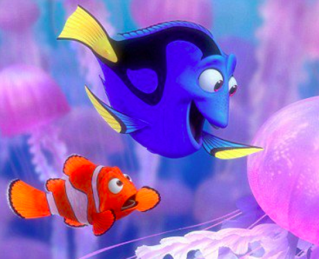 fish smuggle