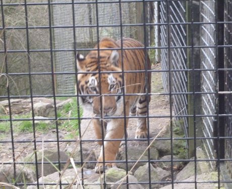 Easter fun at Port Lympne
