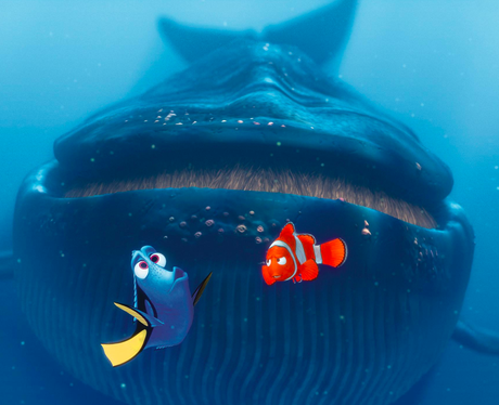 Dory speaking whale - 10 Reasons We're Excited About Finding Dory - Heart