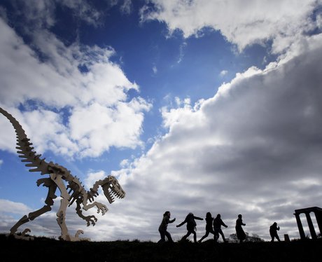 Weird And Wonderful Pictures Of The Week